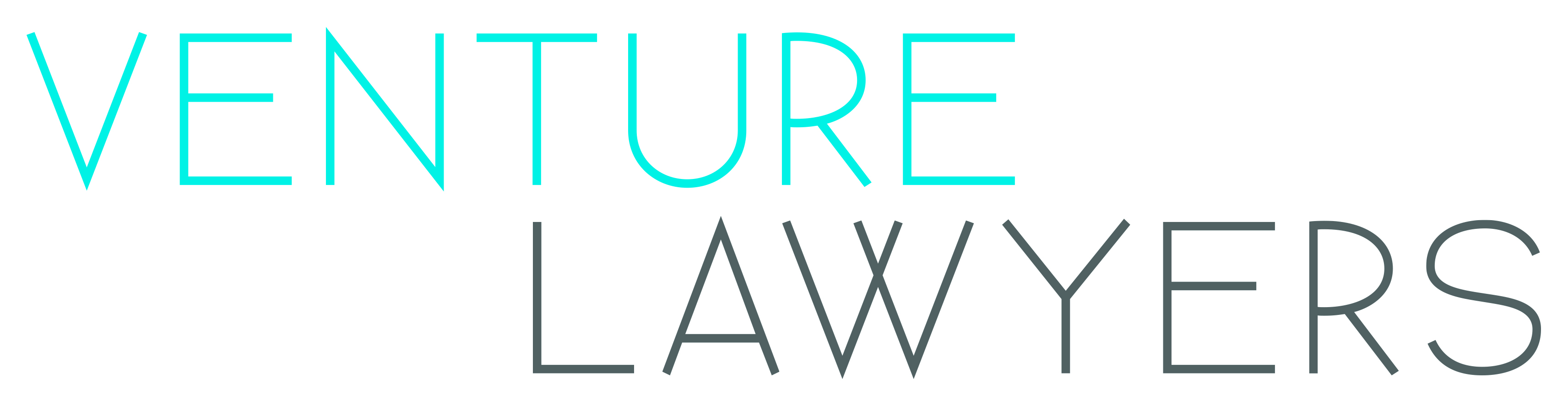 Venture Lawyers